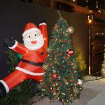Holiday Decorations inside Bay Street Yard