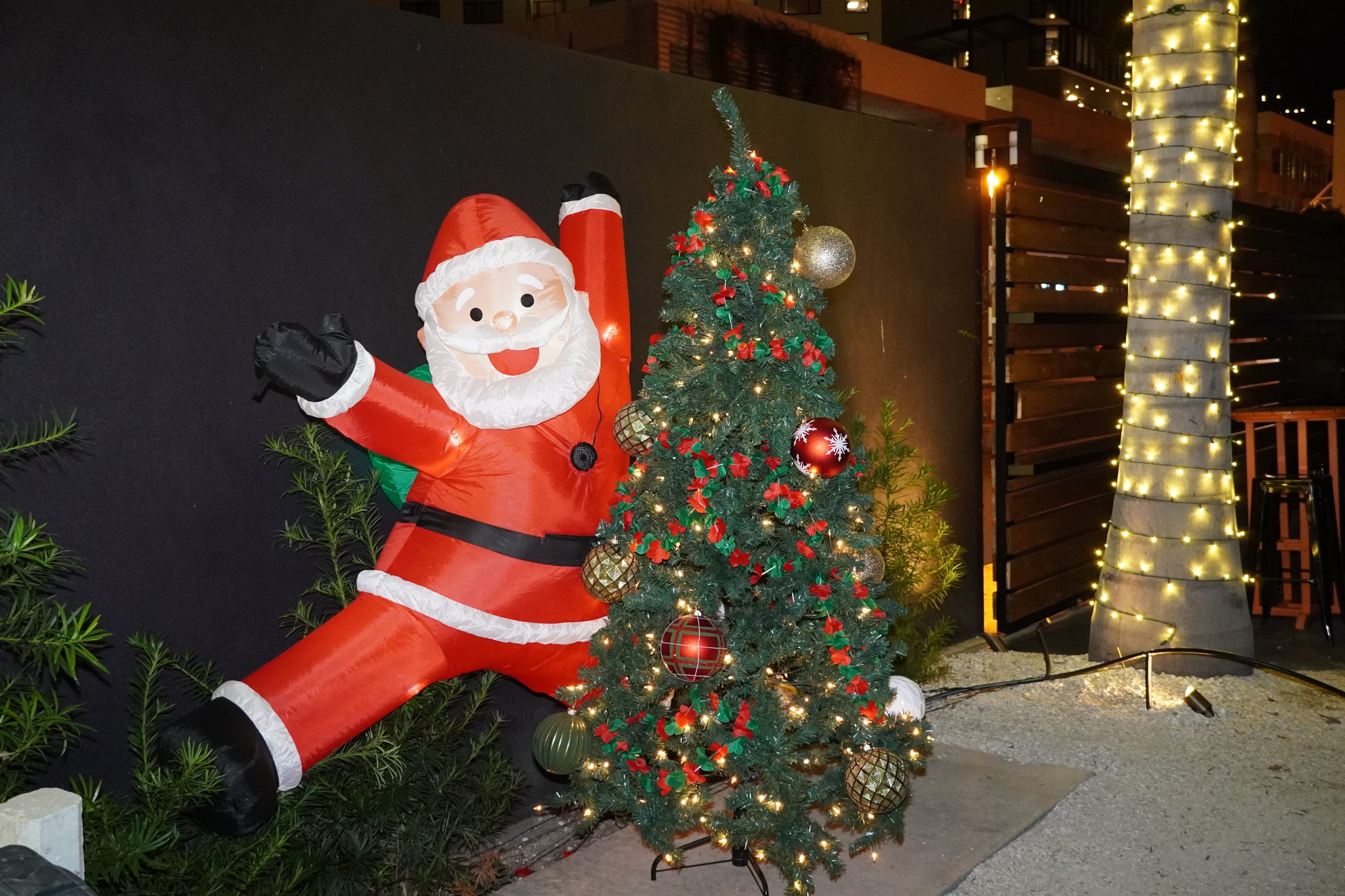 Holiday Decorations inside Bay Street Yard